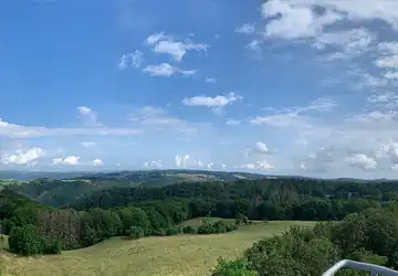 Blick auf das Waldgebiet.